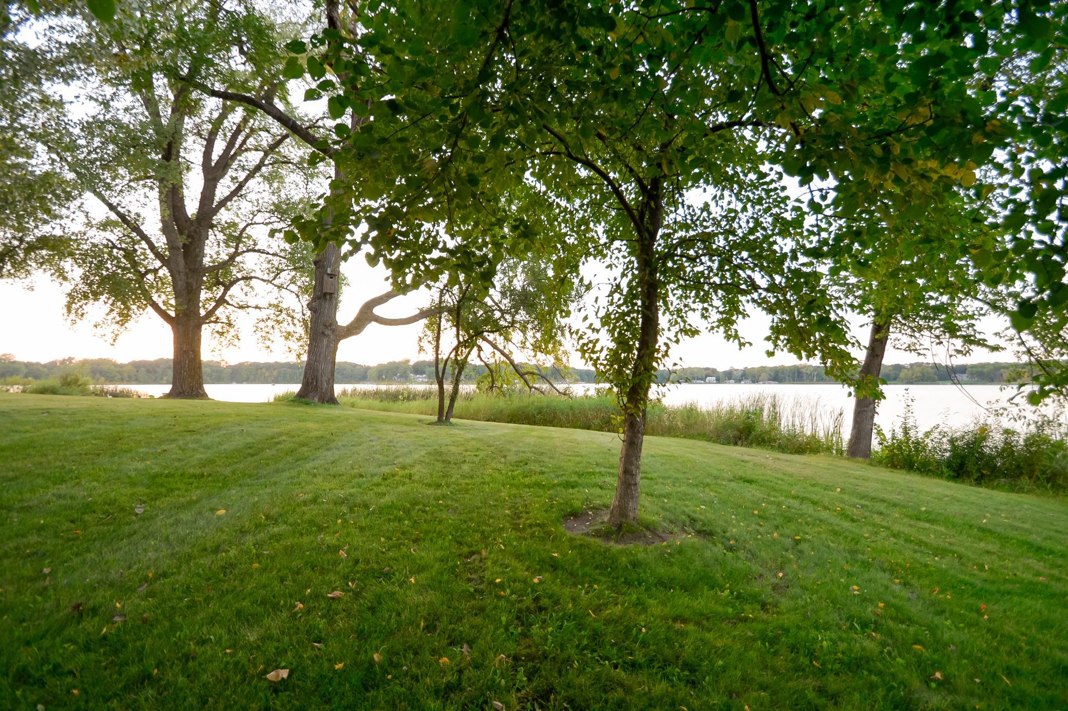Apple / cherry / pine trees and more!