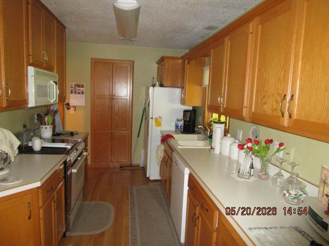 Kitchen View 2