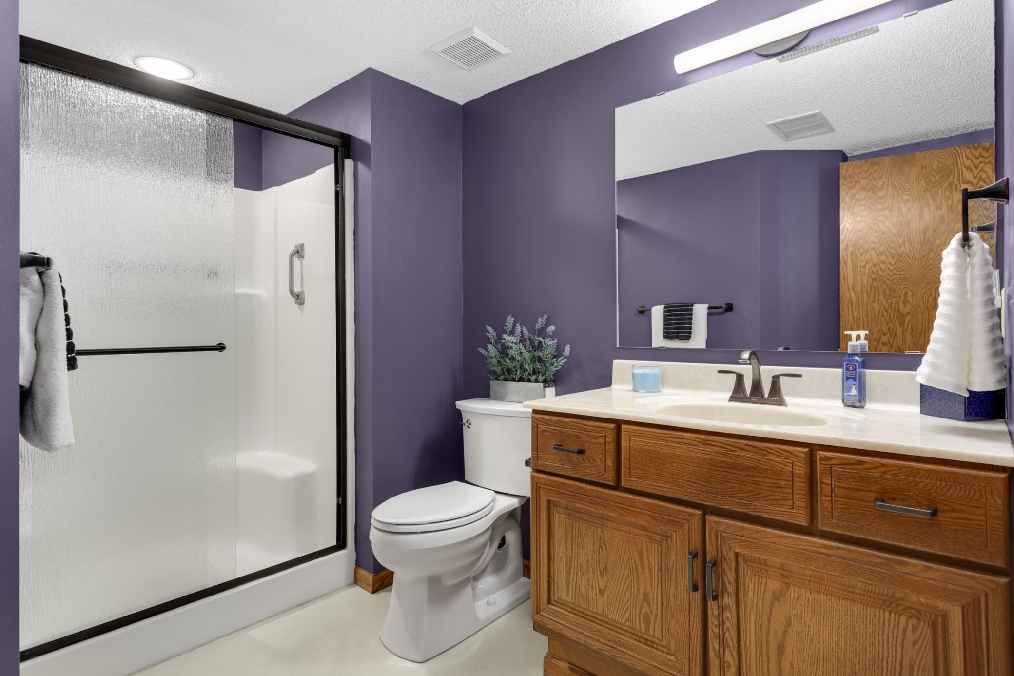 Lower level bathroom