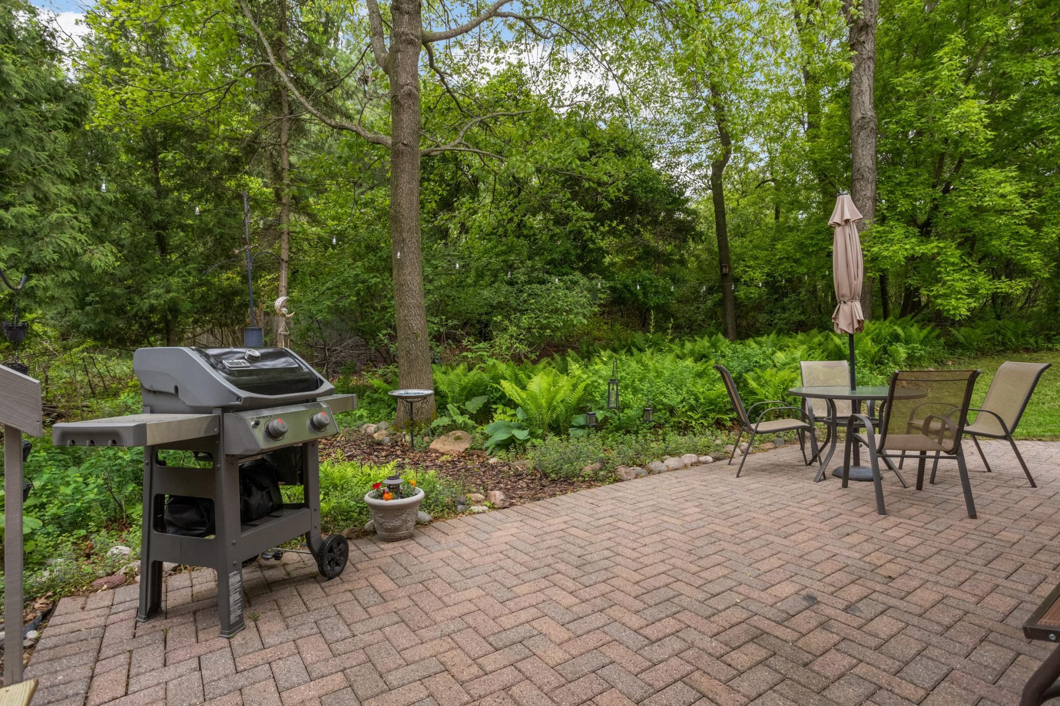 Privacy on the back patio