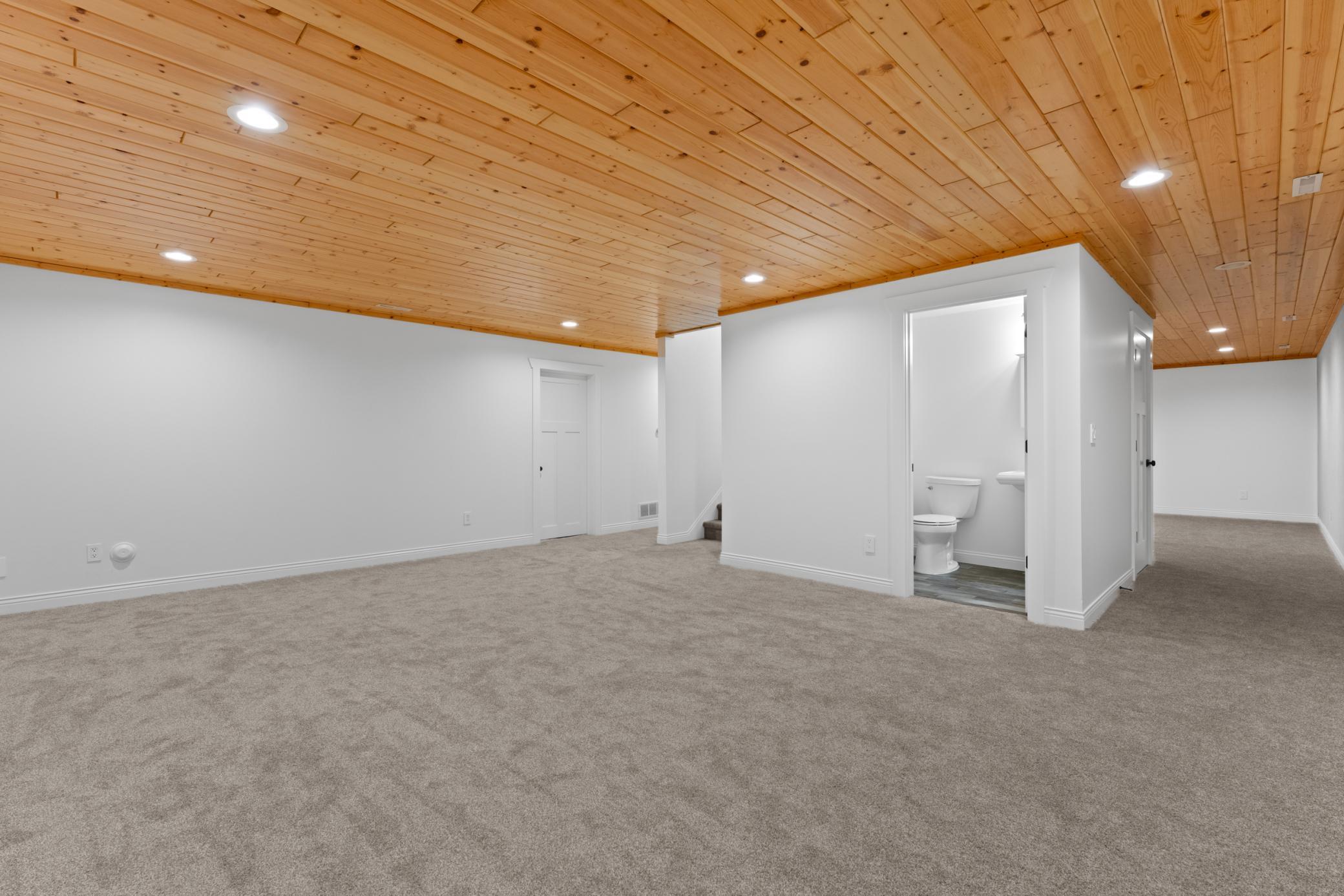 Lower Level Flex Room