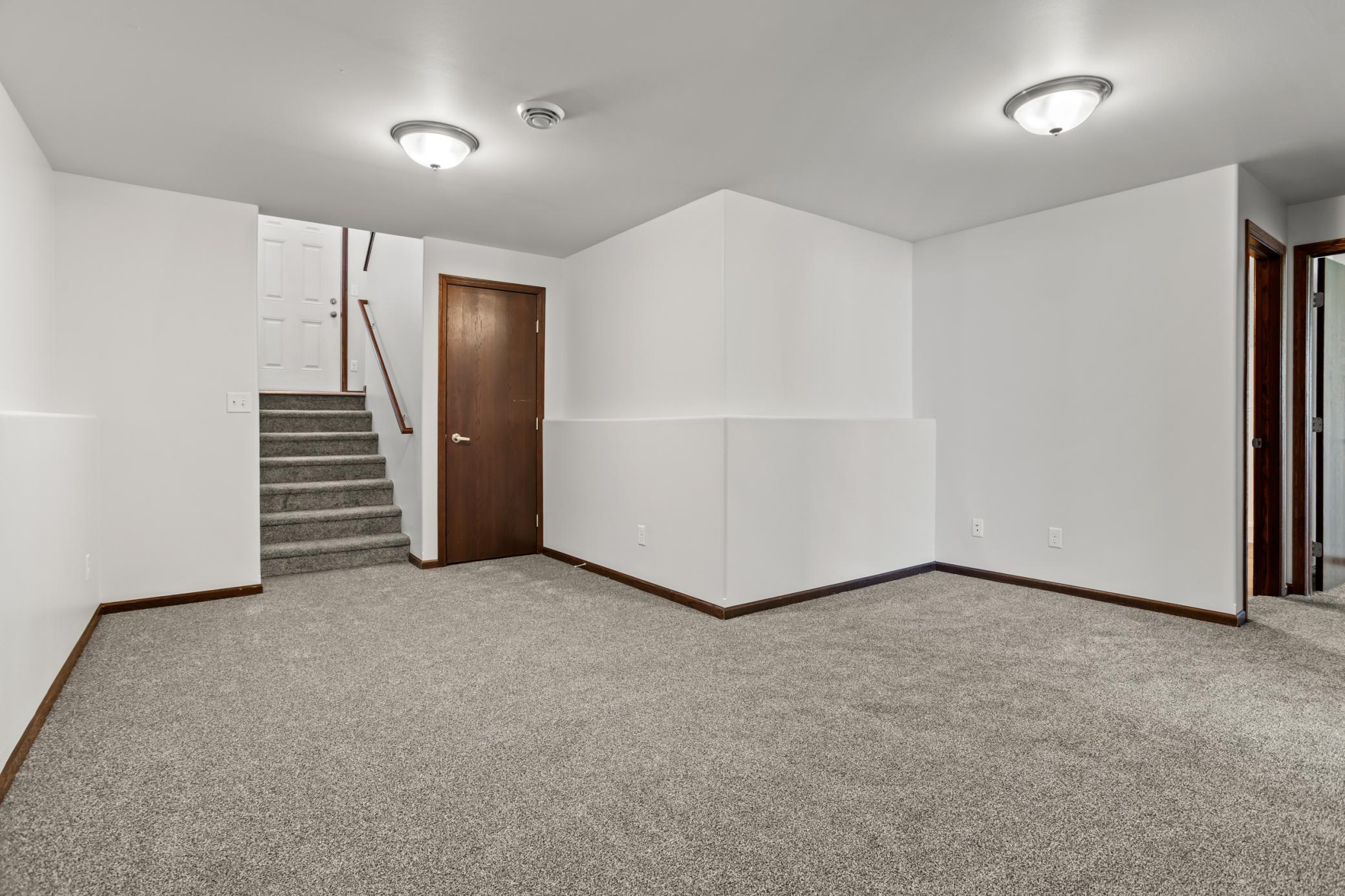 Basement Family Room
