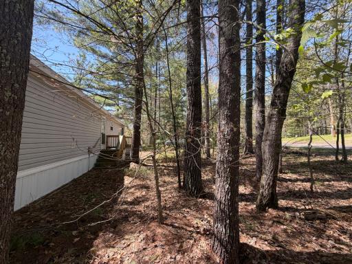 28550 Bonner Lake Road, Danbury, WI 54830
