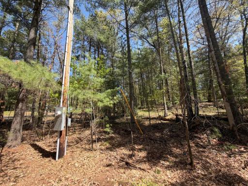 28550 Bonner Lake Road, Danbury, WI 54830