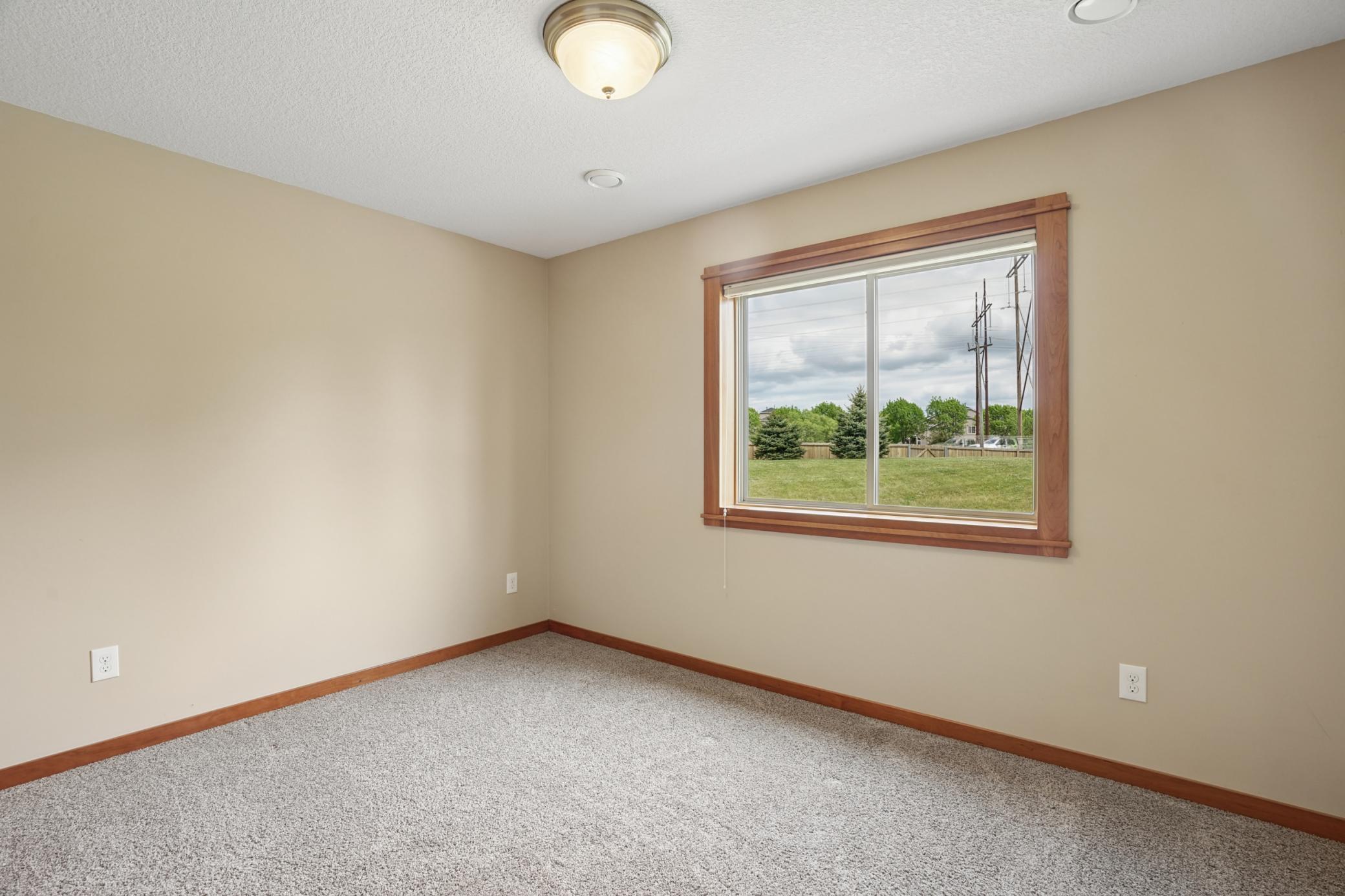 Lower level bedroom
