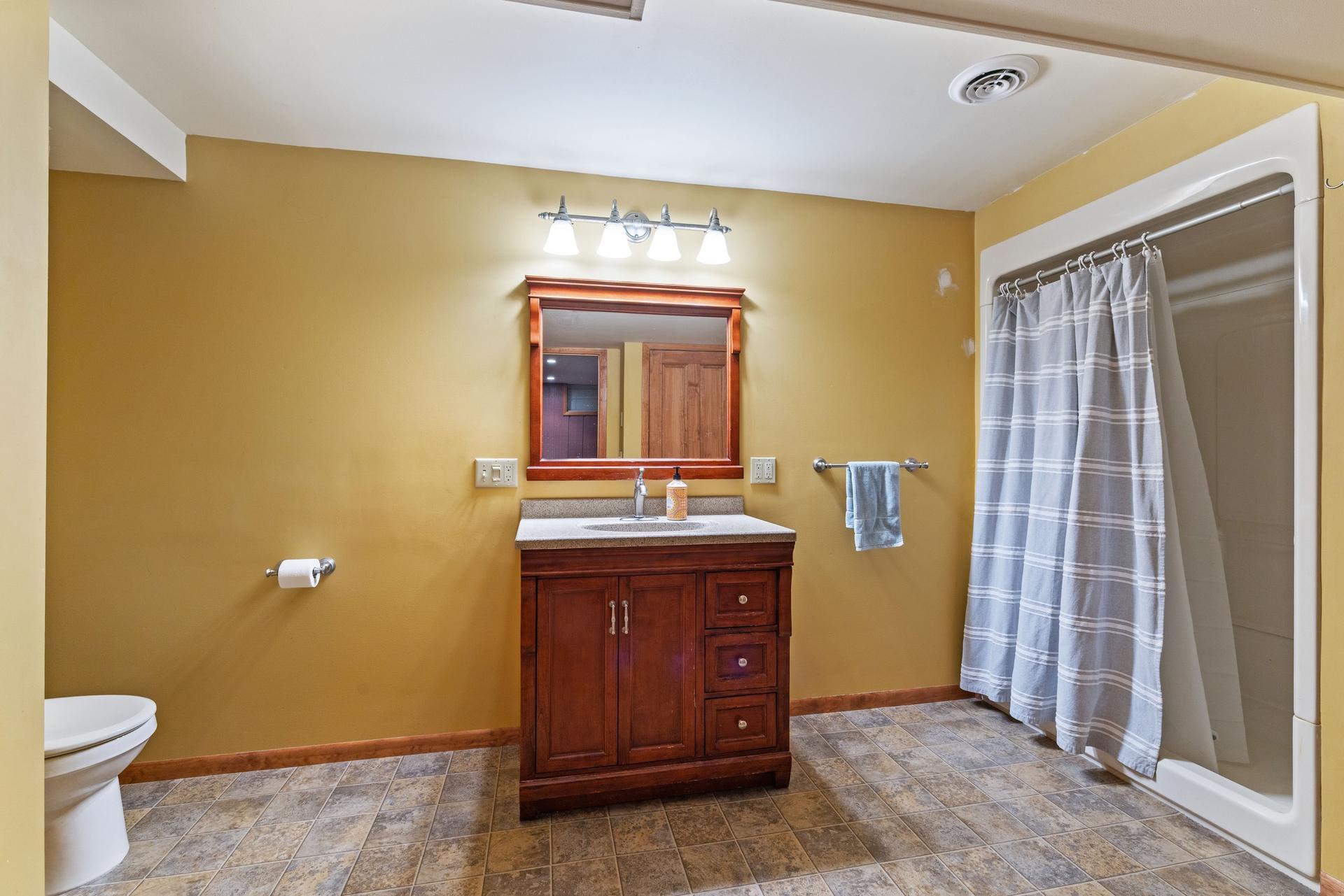 09 Huge lower level bath.jpg