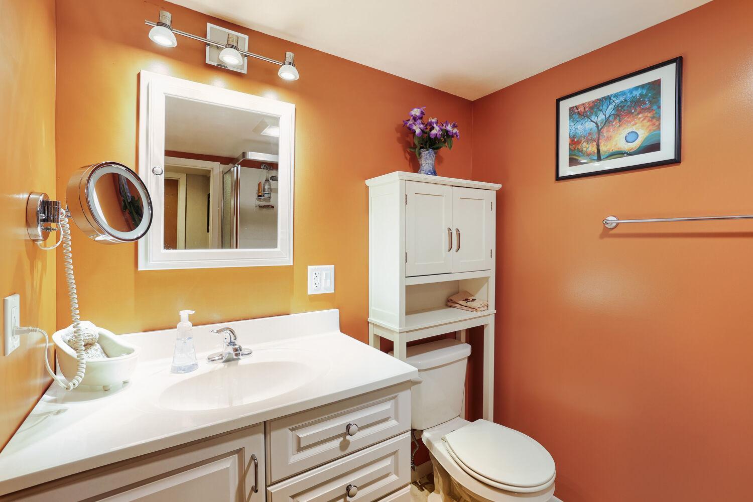 Lower level 3/4 bath