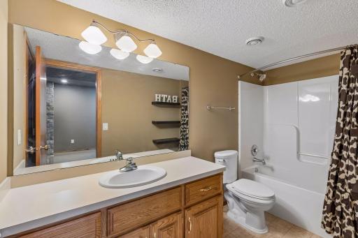 Lower level full bath
