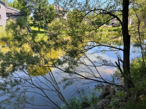Enjoy the wildlife in the pond