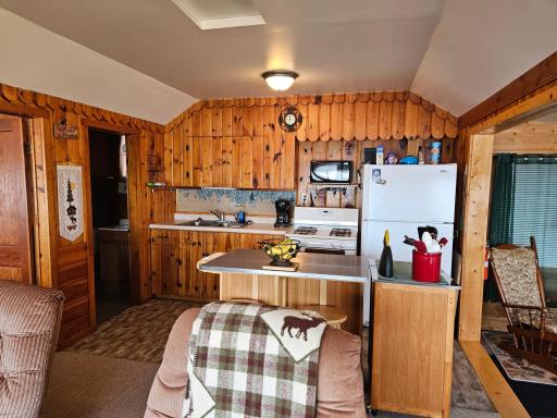 44698 Bittners Point Road, Bovey, MN 55709