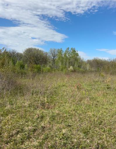 TBD 100 Avenue, Milaca, MN 56353