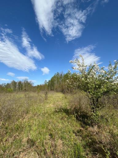 TBD 100 Avenue, Milaca, MN 56353