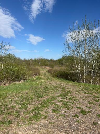 TBD 100 Avenue, Milaca, MN 56353