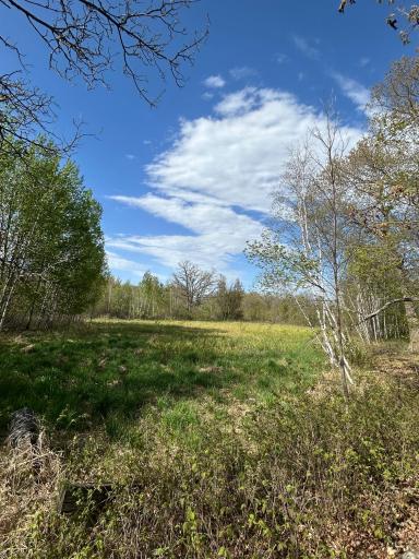 TBD 100 Avenue, Milaca, MN 56353