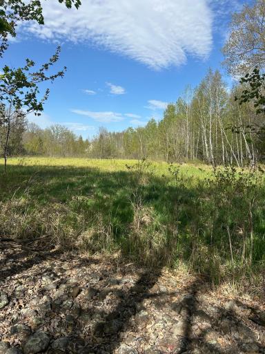 TBD 100 Avenue, Milaca, MN 56353