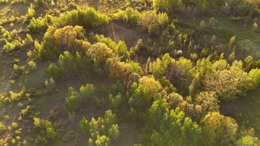 TBD 100 Avenue, Milaca, MN 56353