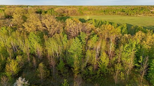 TBD 100 Avenue, Milaca, MN 56353