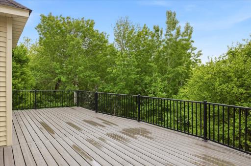 Enjoy the outdoors from the oversized deck overlooking a tree-lined backyard with pond views, ideal for relaxing or entertaining.