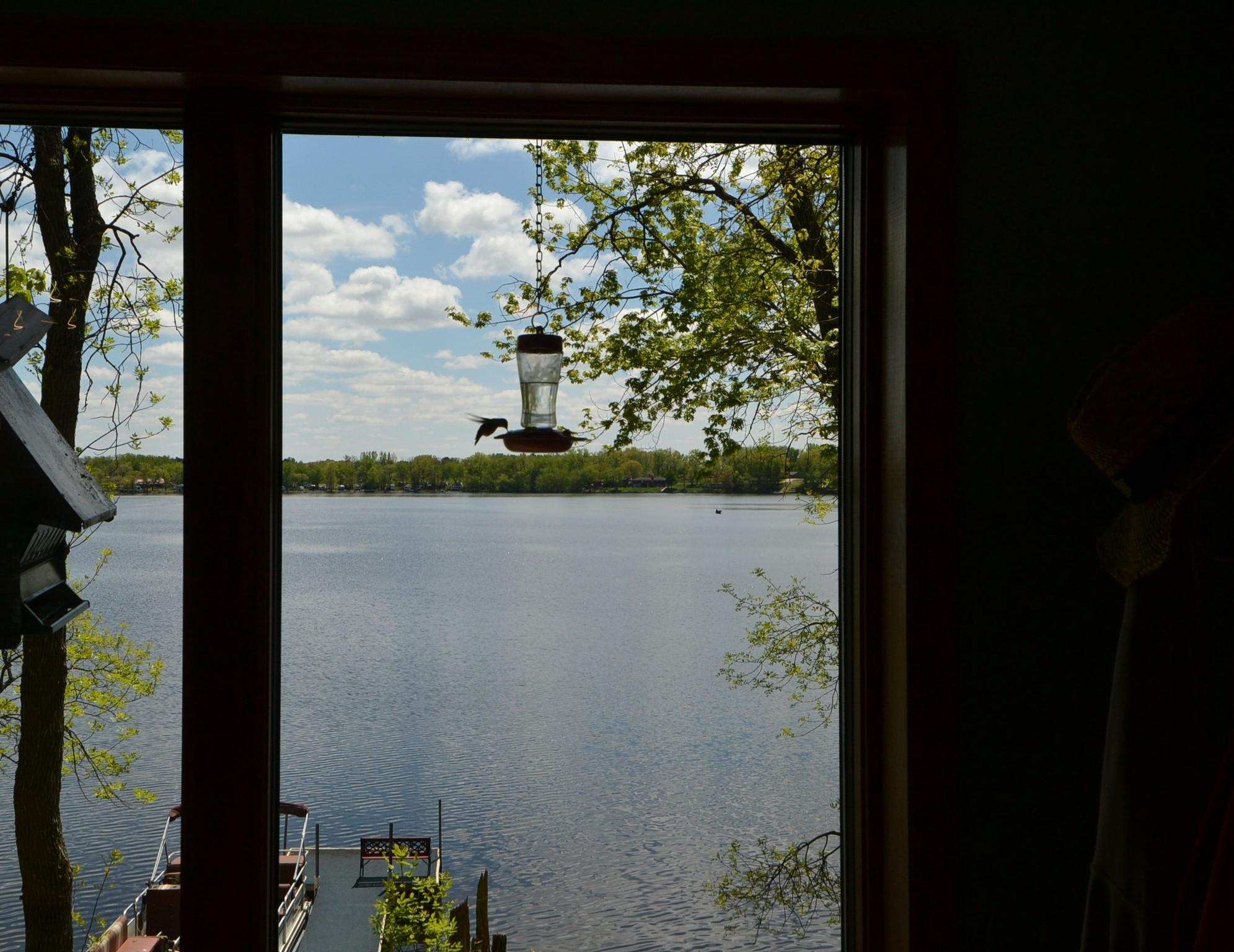 bird feeder..JPG