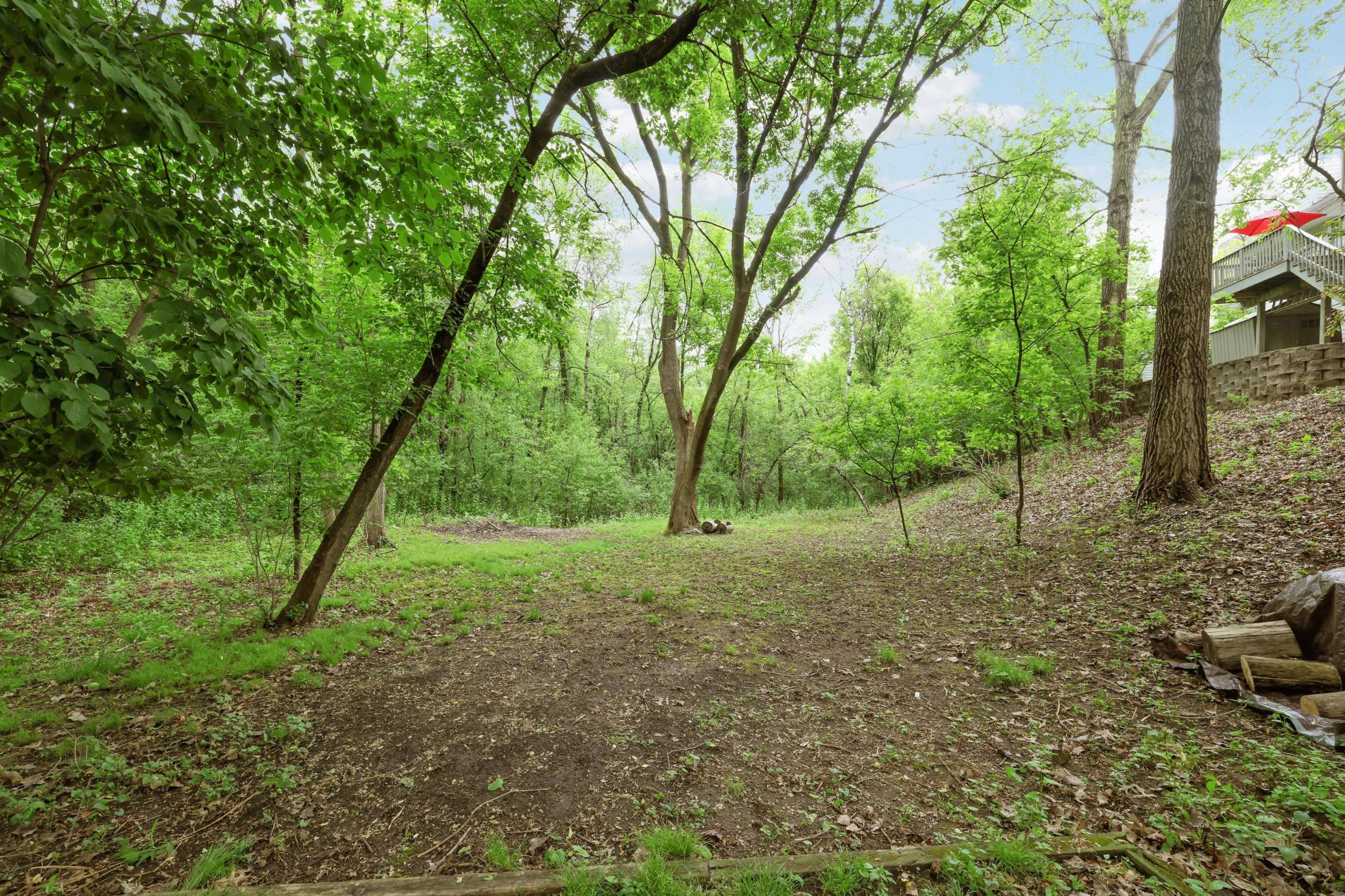 Huge yard