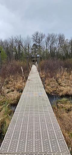 1735 Arborvitae Lane NE, Bemidji, MN 56601