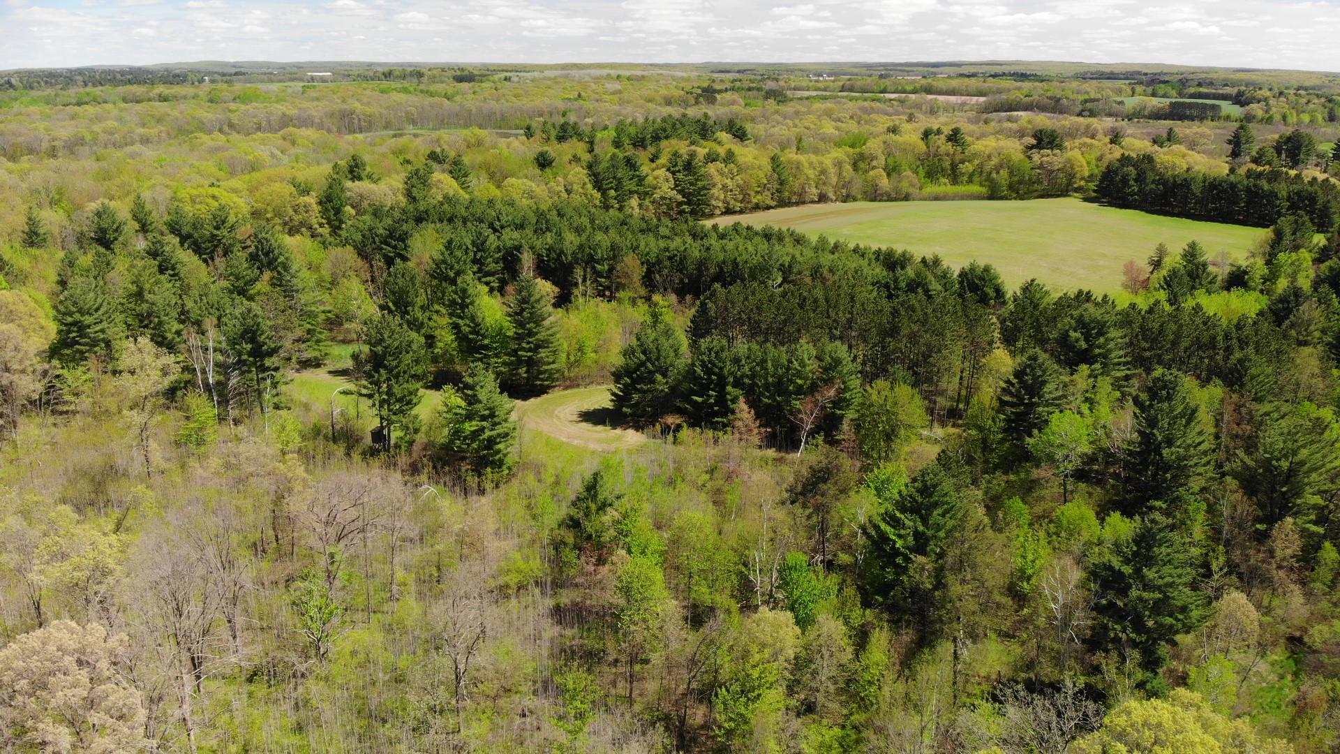 DJI_0977 - frame at 0m0s.jpg