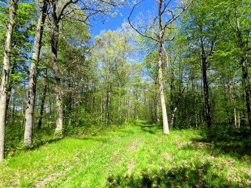 XXX Herrick Road, Siren, WI 54872