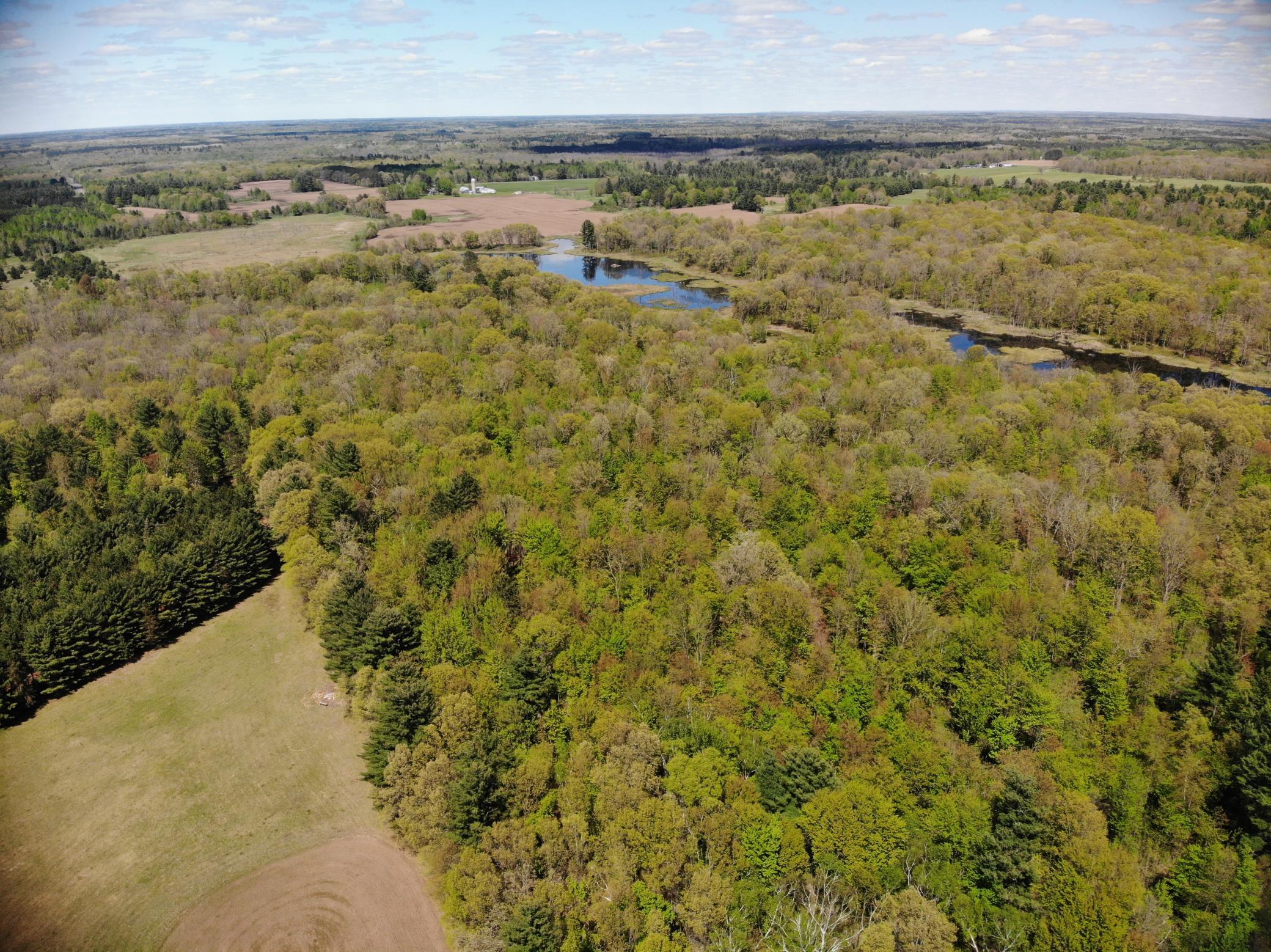 DJI_0970.JPG
