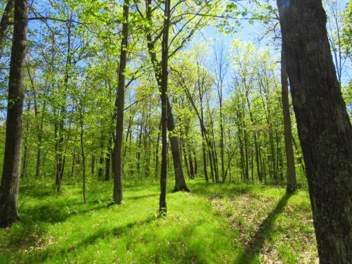XXX Herrick Road, Siren, WI 54872