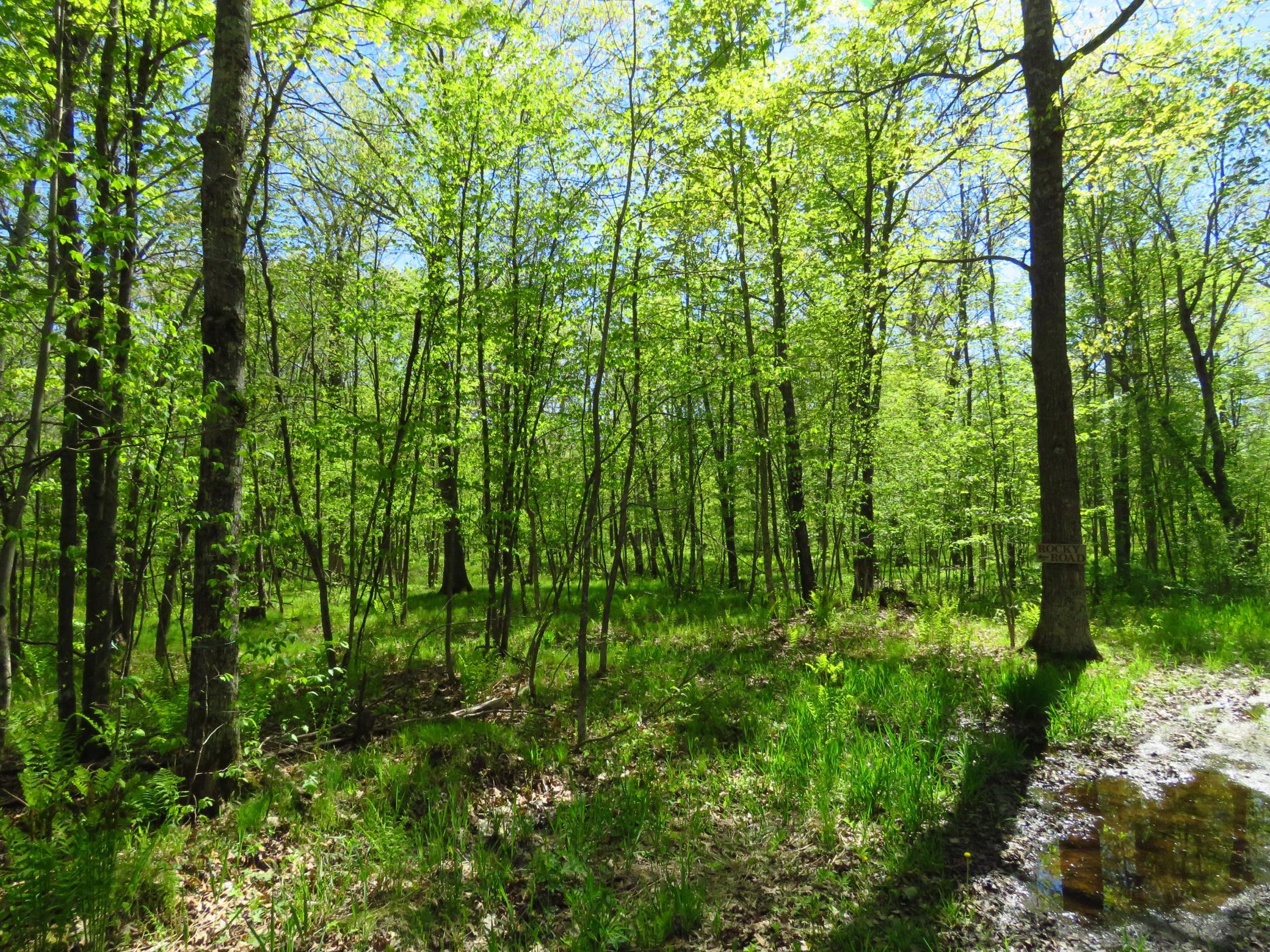 IMG_2470.JPG