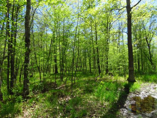 XXX Herrick Road, Siren, WI 54872