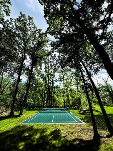 37538 Norwood Lane, Battle Lake, MN 56515