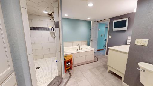 Basement bathroom