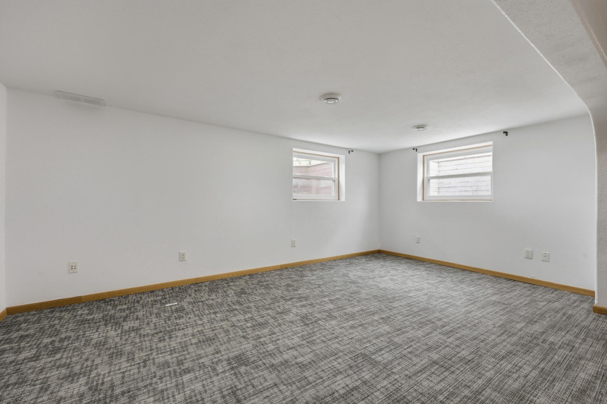 Basement Family Room