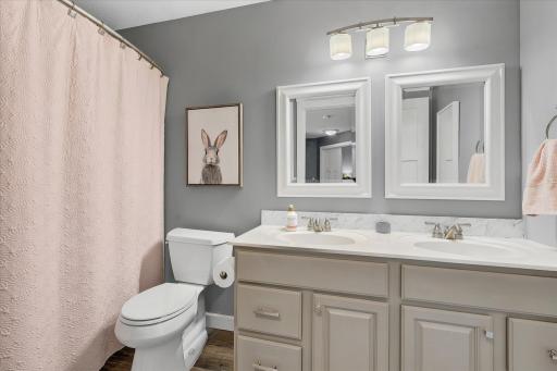 13040 Emmer Place, Apple Valley, MN 55124