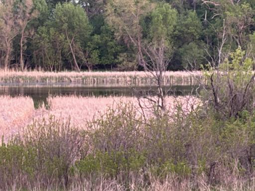 58255 Mn-7, Cosmos, MN 56228