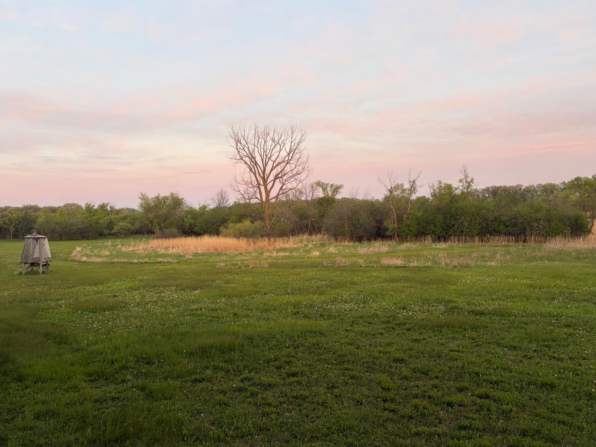 58255 Mn-7, Cosmos, MN 56228