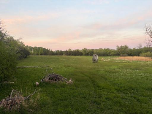 58255 Mn-7, Cosmos, MN 56228