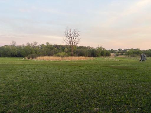 58255 Mn-7, Cosmos, MN 56228