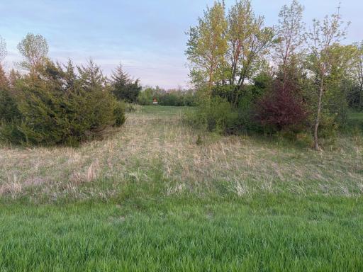 58255 Mn-7, Cosmos, MN 56228