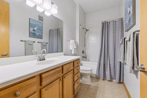 240 Spring Street, 203, Saint Paul, MN 55102