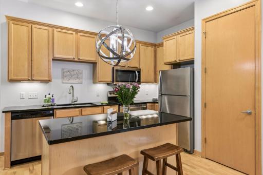 240 Spring Street, 203, Saint Paul, MN 55102