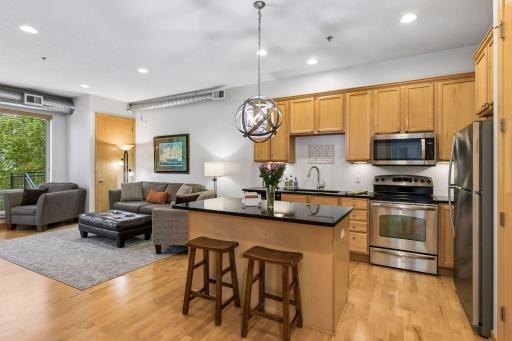 240 Spring Street, 203, Saint Paul, MN 55102