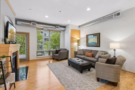 240 Spring Street, 203, Saint Paul, MN 55102