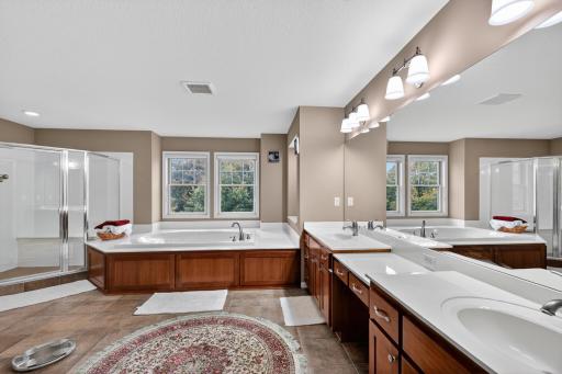 10741 Hawthorn Trail, Woodbury, MN 55129