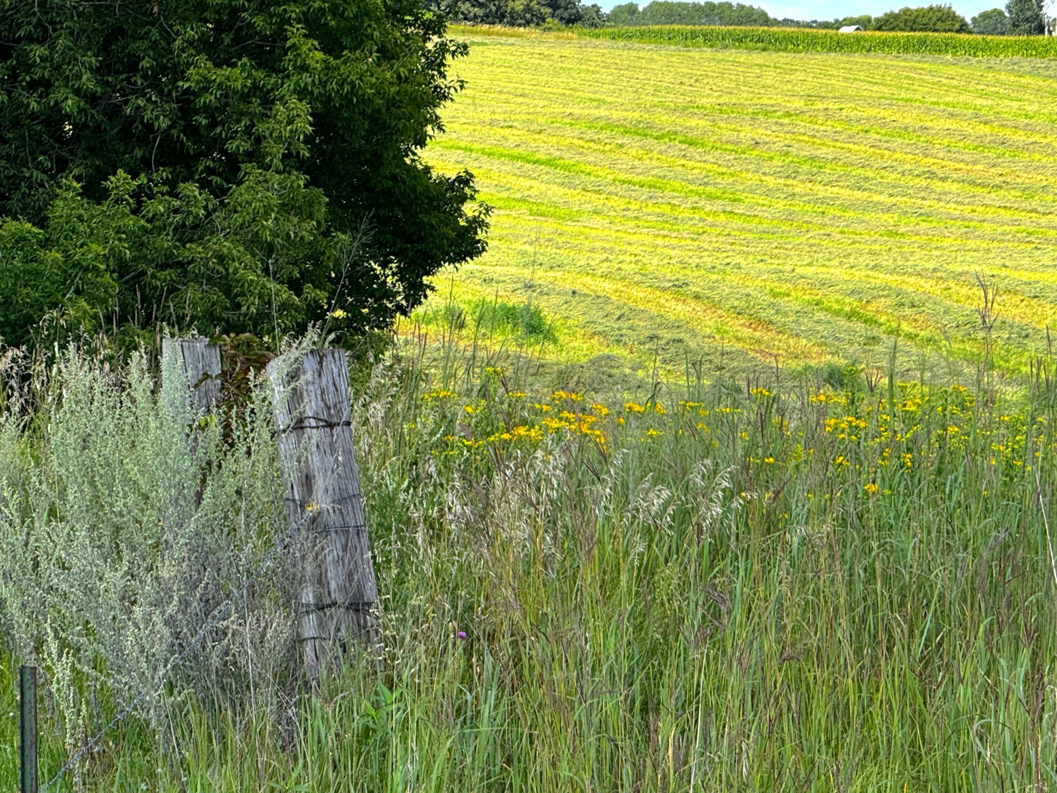 IMG_7653.JPG