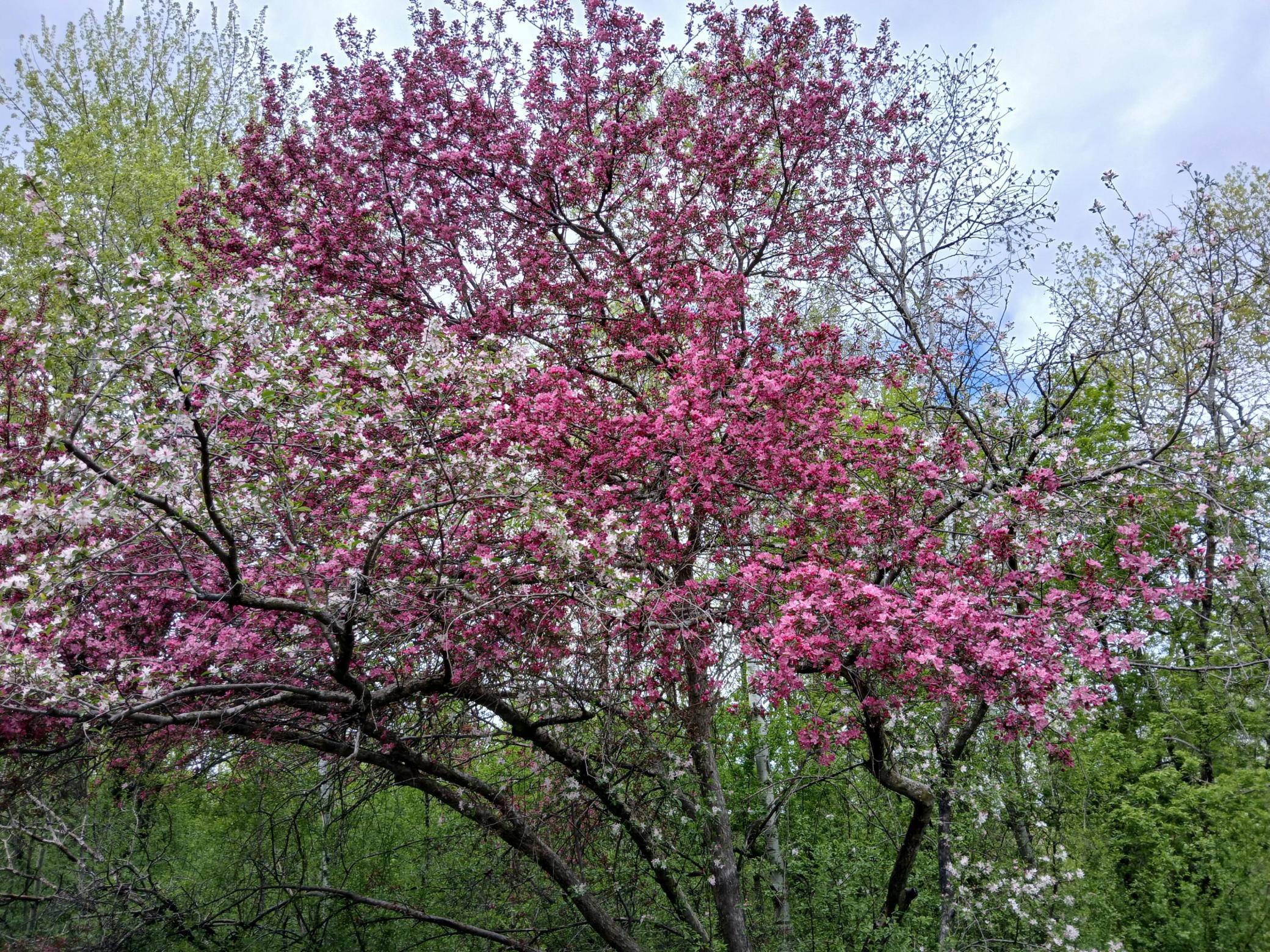beyc6a0f9aa660559.jpg