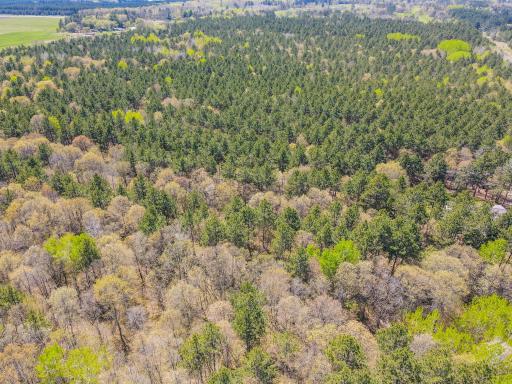 TBD Deacon Drive - Parcel B, Park Rapids, MN 56470