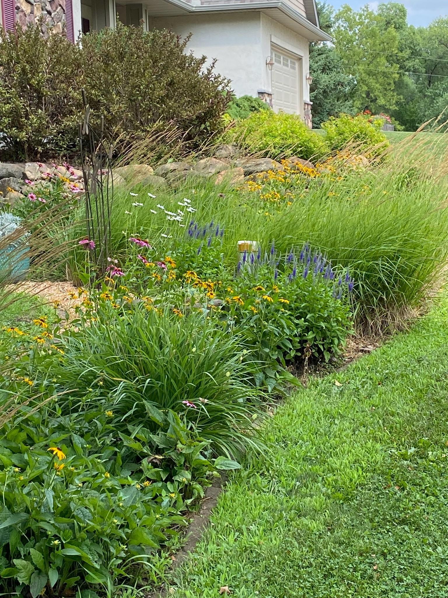 Lovely flowers around the property! Wow!