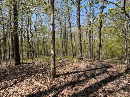 48990 County Highway 17, Vergas, MN 56587